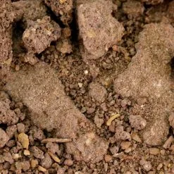 Incenso In Polvere Semhar 50 G