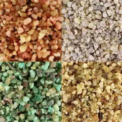 Confezione Incensi Evangelisti 4 Pezzi 25 G