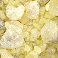 Incenso In Resina Gum Damar 50 G