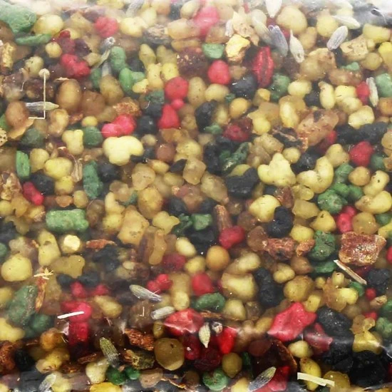 Confezione 10 Carboncini 50 G Incenso Vaticano